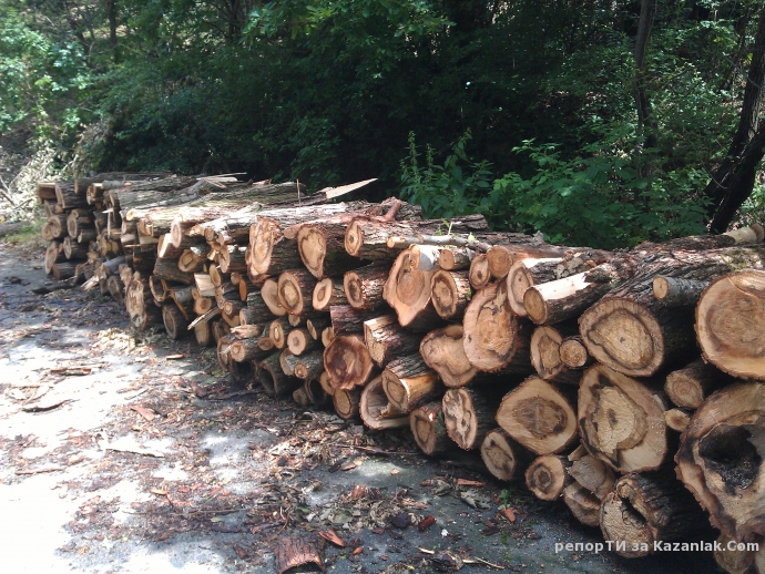 ”Законна сеч”