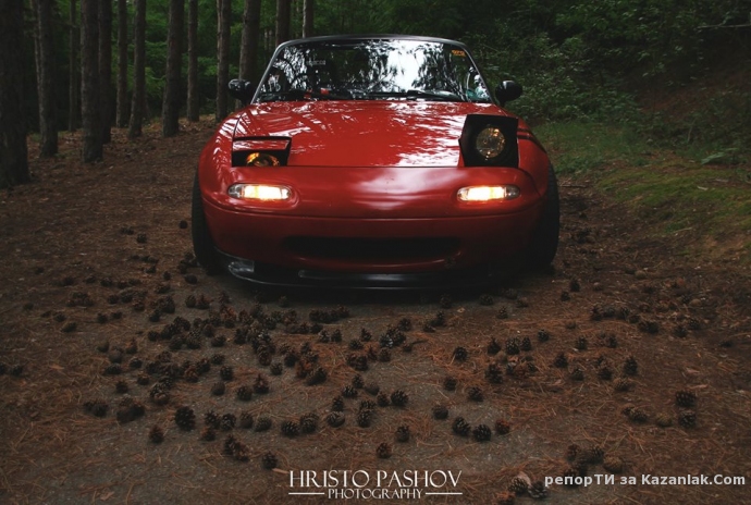 Какво още става на Тюлбето