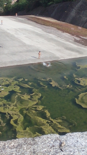 Роми се къпят в жабуняка на язовира