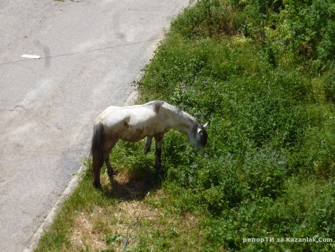 НОВ МОДЕЛ ” СЕНОКОСАЧКА ” !