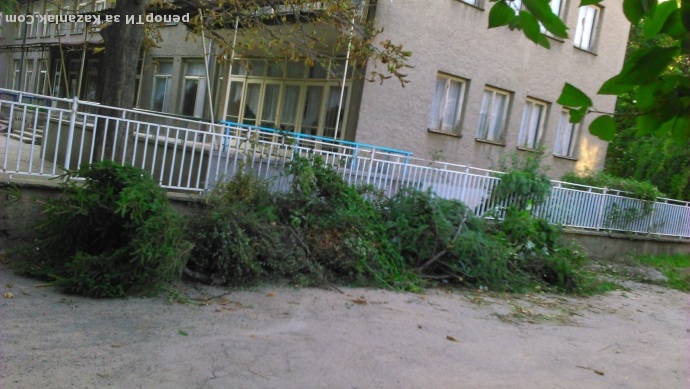 Почистване на двора в детската градина