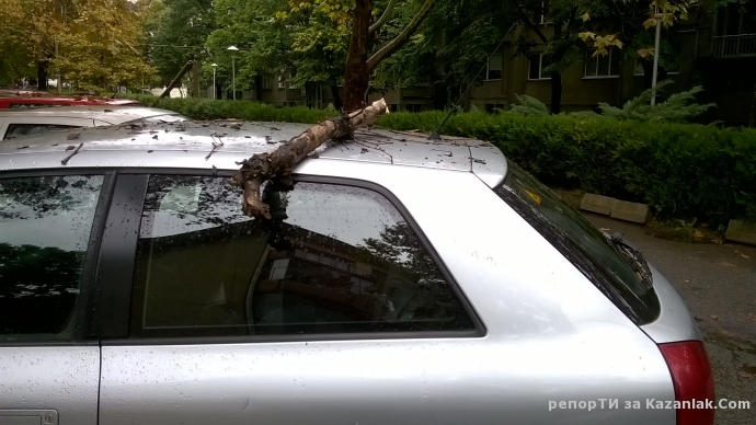 Опасни дървета по ул. Тонзос