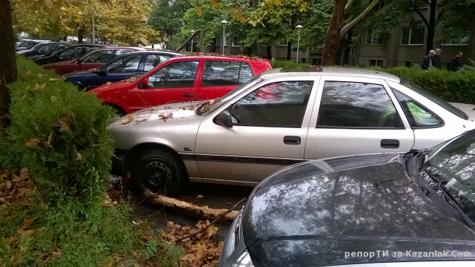 Опасни дървета по ул. Тонзос