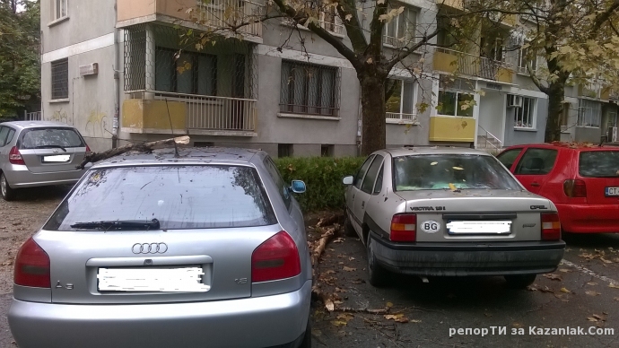 Опасни дървета по ул. Тонзос