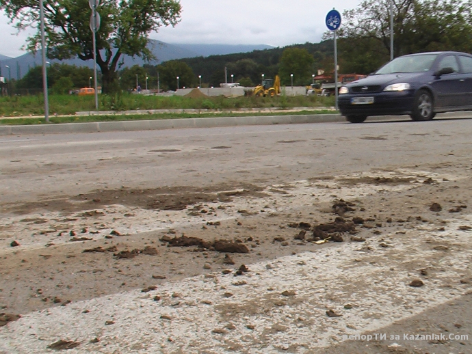 Разпиляна кал