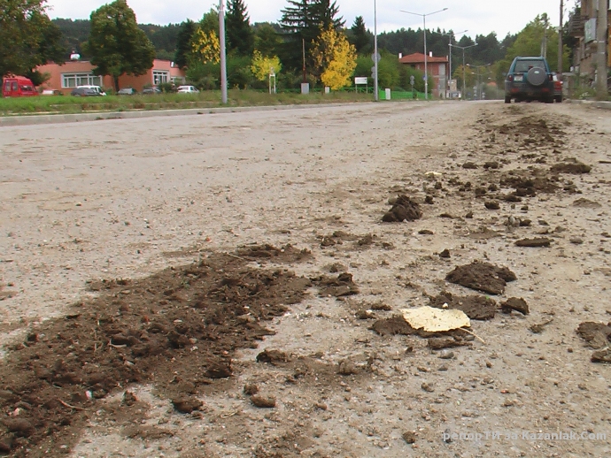 Разпиляна кал