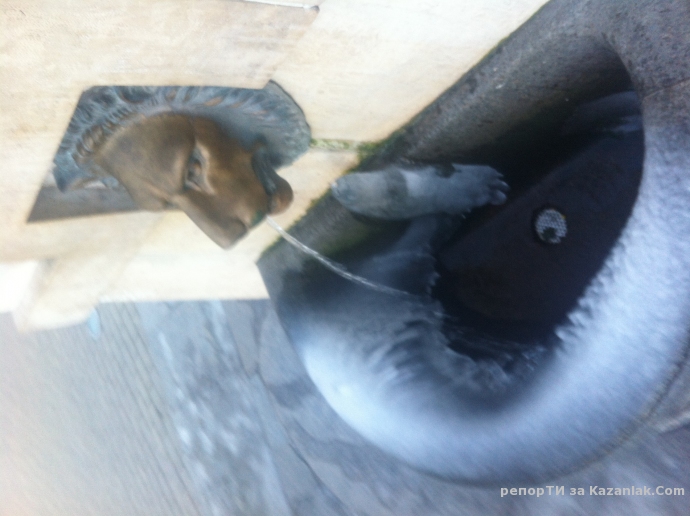 Творбите на зимата