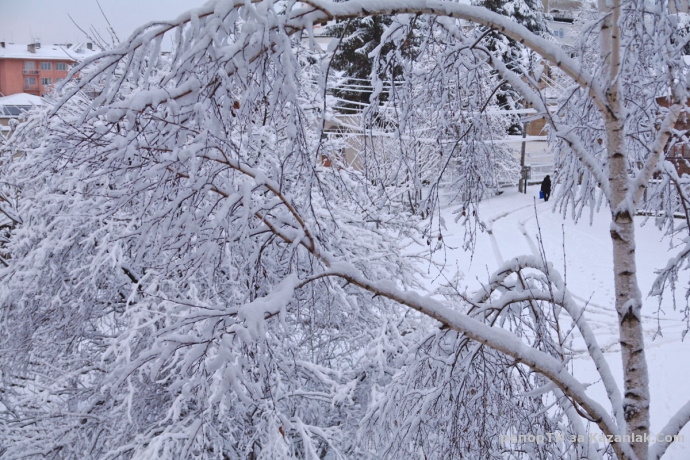 Зимна приказка