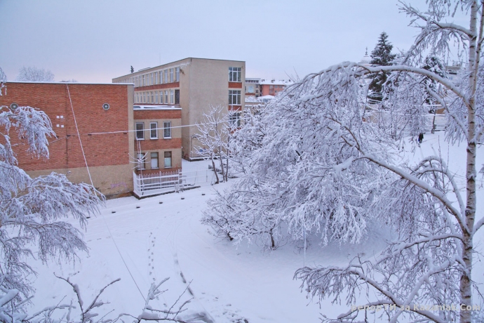 Зимна приказка