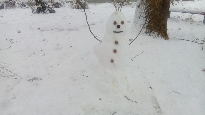 Олаф оживява днес