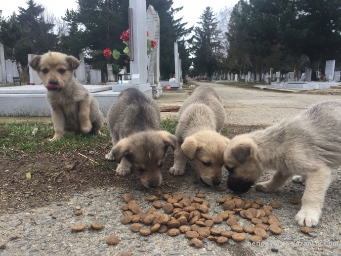 Някой да помогне!