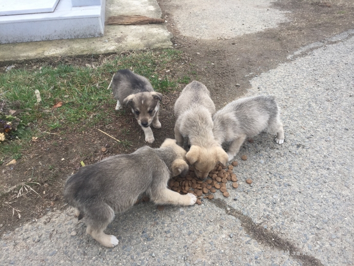 Някой да помогне!