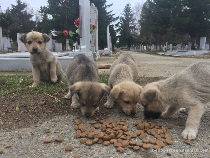 Някой да помогне!
