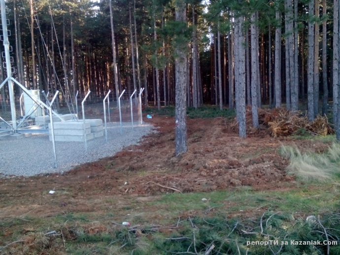 Изсечена гора от мобилни оператори