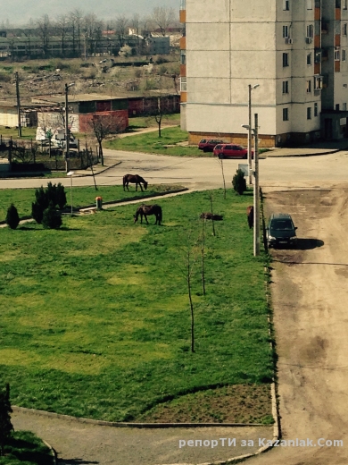 Евро мера за 300 бона в ОБЩИНА Казанлък 