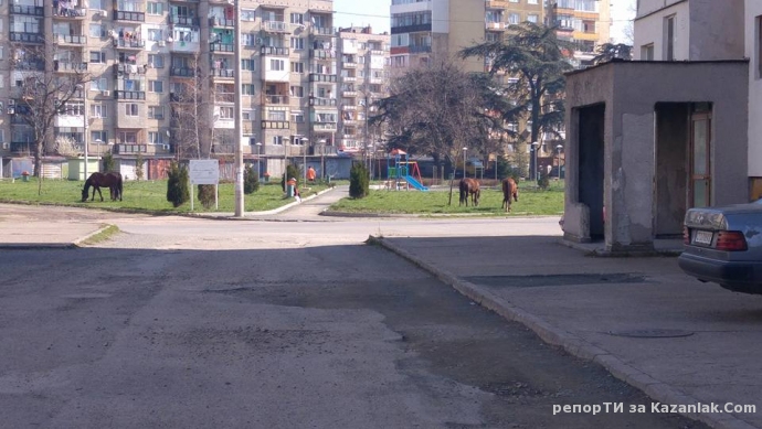 Там ли им е мястото?