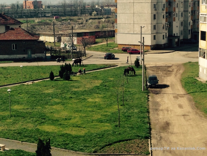 Евро мера за 300 бона в ОБЩИНА Казанлък 