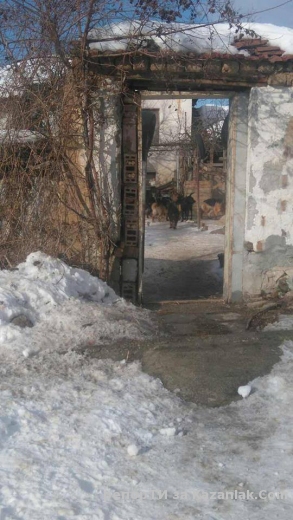 Ето това се случва по улиците на село Шаново