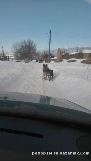 Ето това се случва по улиците на село Шаново