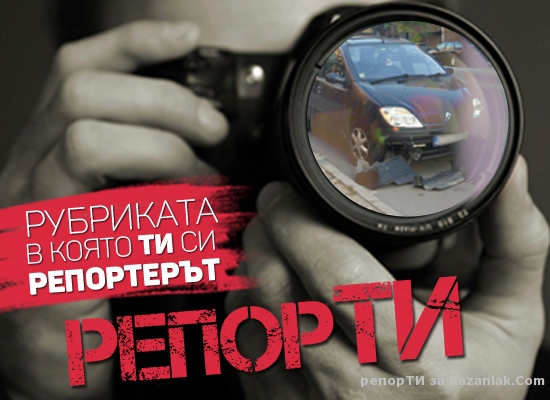 Намерено куче