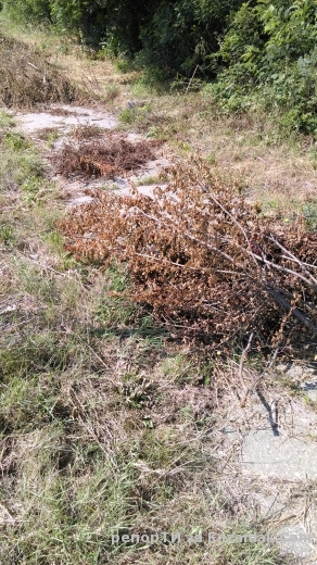 Хубава работа, ама българска!!!