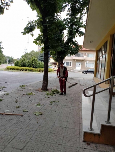 Буреносният вятър събори дърво в Казанлък