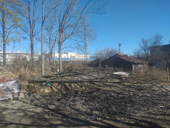 Силният вятър повали дърво в Казанлък 