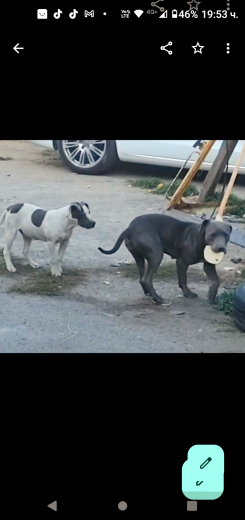 Издирваме ги