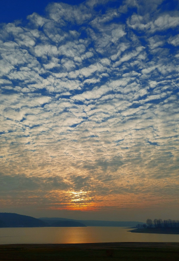 яз. Копринка