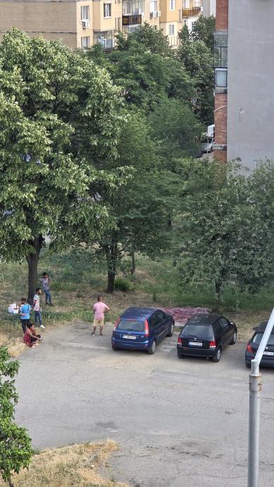 Търговия с вишни