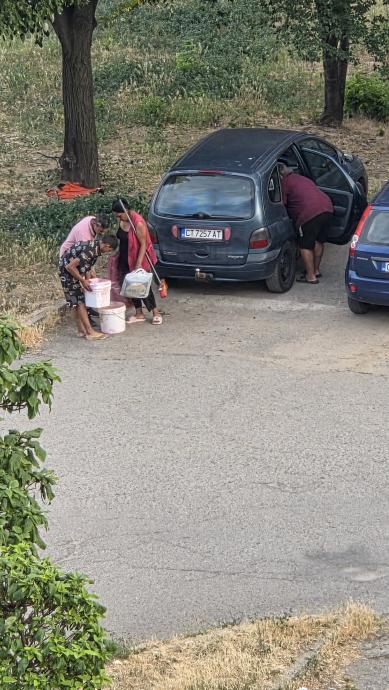 Търговия с вишни