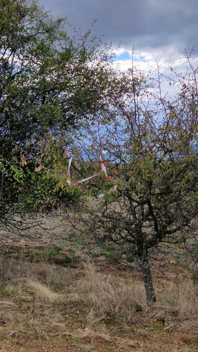 След триатлона, боклук. 