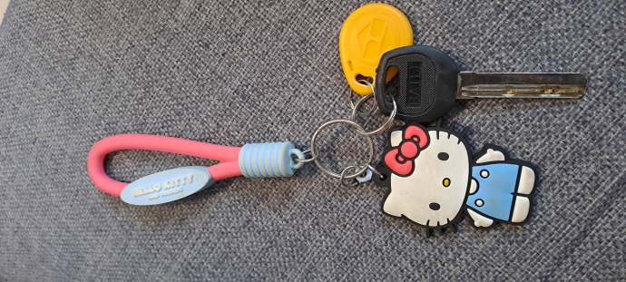 Намерени ключове