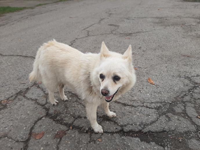 Някой търси ли я?