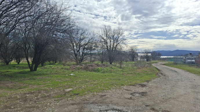 За практикуващите ”кърска любов” в югоизточните райони на Казанлък