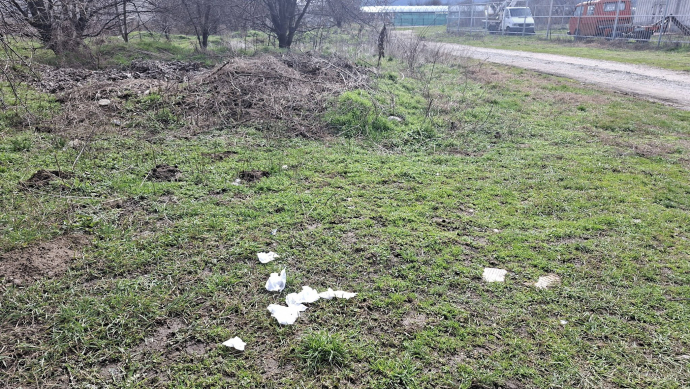 За практикуващите ”кърска любов” в югоизточните райони на Казанлък