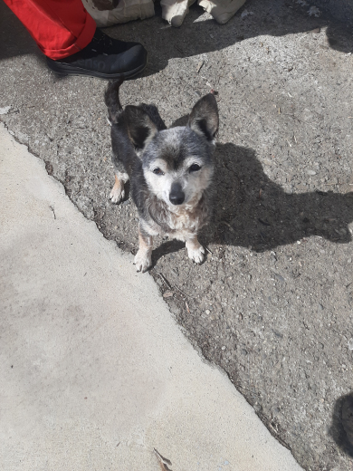 Някой търси ли го?