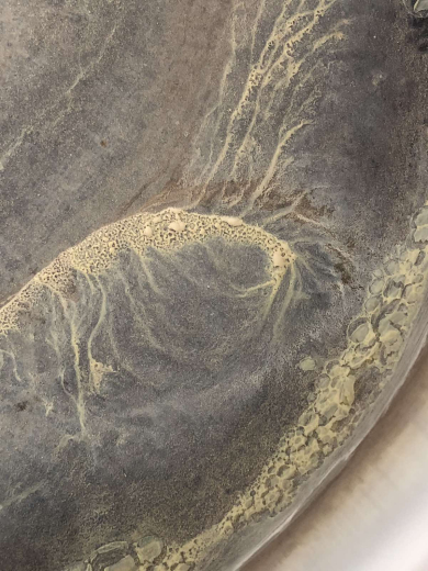 В Бузовград водата е негодна за пиене!