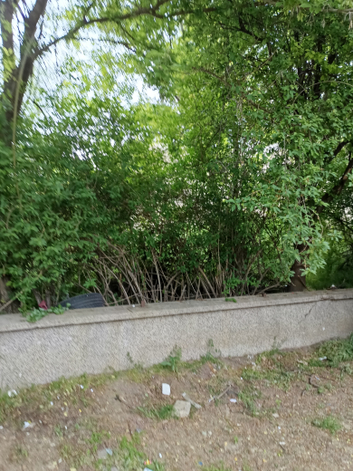 Бивша ЦДГ N5, ж.к. ”В. Левски”