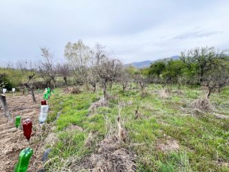 Живописен Парцел 251 кв.м. Казанлък вилна зона ”Старите Лозя” и Енина