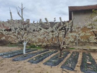 Продава къща в село Дъбово