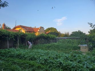 Продава къща в село Дъбово