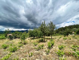 Парцел, Дворно Място 0.5 дк в Казанлък, Старите Лозя