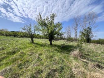 1.2 Дка Дворно Място в Казанлък / Енина с Основа за Къща и Гледка за Милиони