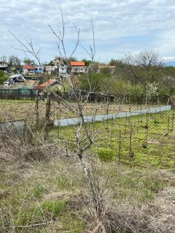 Парцел 1.3 дк Дворно Място в Казанлък вилна зона Старите Лозя