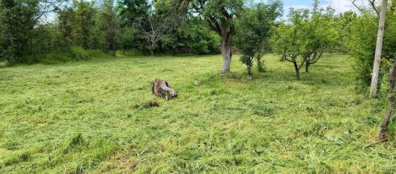 Продава къща в село Габарево