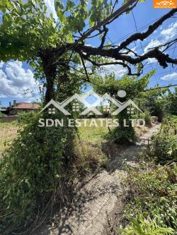 Продава се едноетажна къща с голям двор в предпочитаното село Голямо Дряново