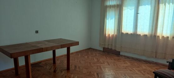 Масивна къща с гараж и двор в село Голямо Дряново