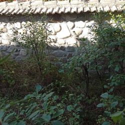 Къща с двор от 730 м2 в непосредствена близост до гората