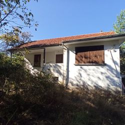 Къща с двор от 730 м2 в непосредствена близост до гората